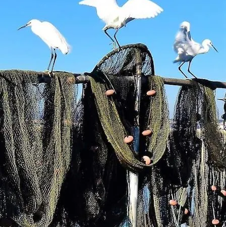 Hébergement de vacances Maison Quartier Pointe-courte à Sète